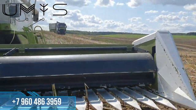 Жатка для уборки подсолнечника в поле смотреть онлайн