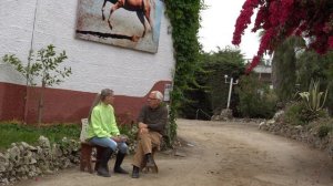 Занятия классической выездкой в школе Луиса Валенса. Dressage lessons in the school of Luís Valença