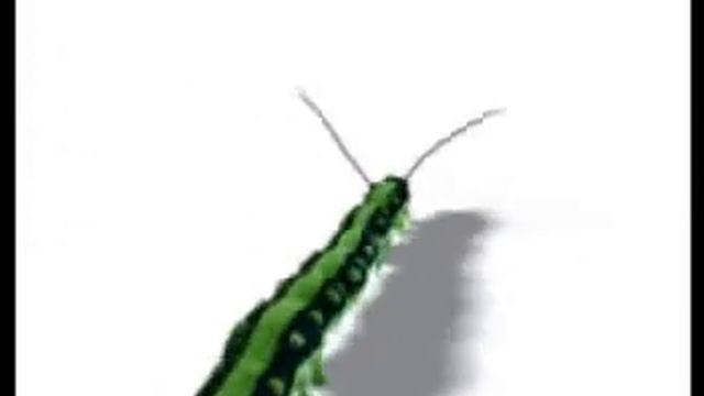 Повод провериться на туберкулез смотреть онлайн