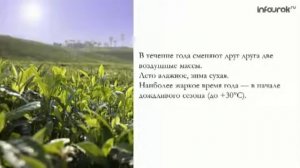 Климат Африки  7 класс - субэкваториальный КП