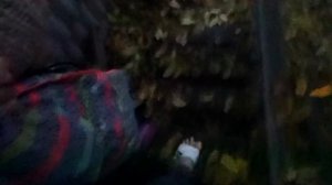 VLOG Подготовка к дню рождения. Алиса сильно упала