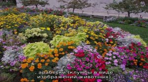 Клумба из однолетников – уютно и красиво