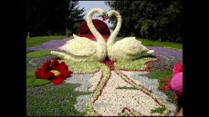 Самые Важные Знания. Тема № 1 «В начале всех начал».