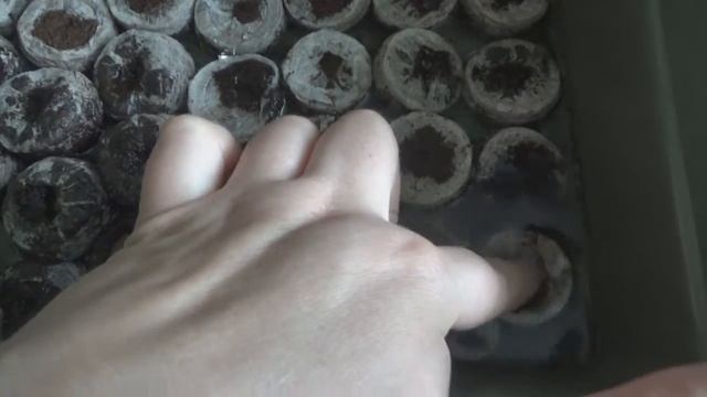 Торфяные таблетки без оболочки и с оболочкой