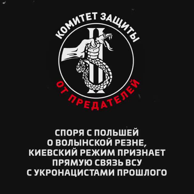 Споря с Польшей о Волынской резне, киевский режим признает прямую связь ВСУ с укронацистами прошлого