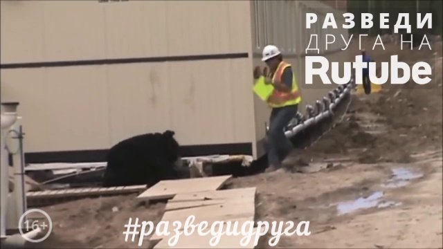 РазведиДруга