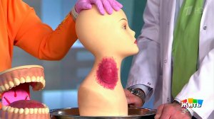 Туляремия - опасность от грызунов. Жить здорово! Фрагмент выпуска от 24.07.2017