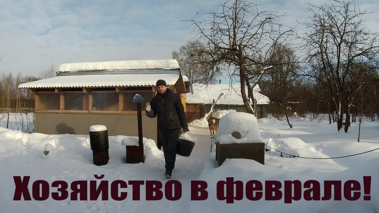 Про индюков, бройлеров, кур несушек, перепелок и хозяйство в деревне!