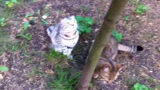 Boring смотреть онлайн