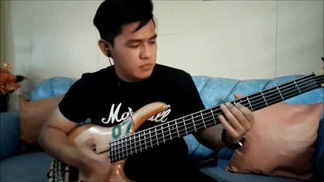 VIKOFUNK (bass cover) смотреть онлайн