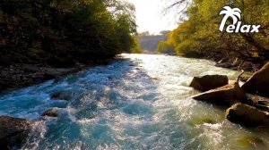 Autumn landscape on a Mountain River and Relaxing Noise of a River Stream