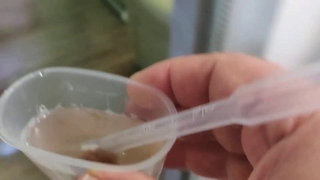 Кормление рыб замороженным кормом смотреть онлайн