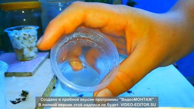 Опыты с кислотами смотреть онлайн