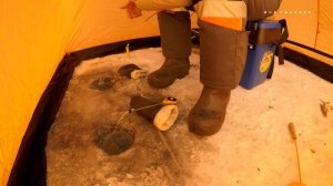 Ловим подлещика. Крупного нет, одна мелочь! Новая палатка NORFIN Easy Ice.