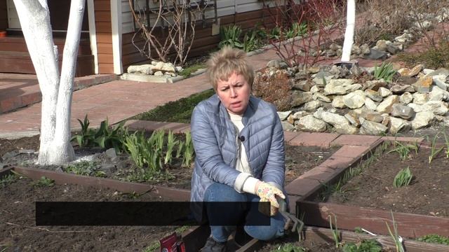КЛУБНИКА ВЕСНОЙ Правила большого урожая | Природа будущего