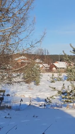За городом зима