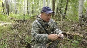 Собираем белые грибы и подосиновики. Тихая охота на Урале