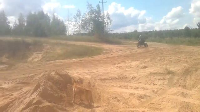 Ирбис ттр 125 смотреть онлайн