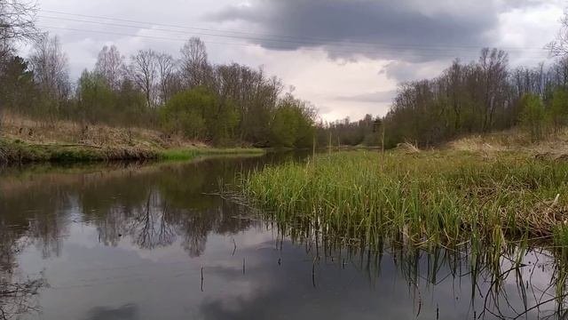 Николай Гумилёв - Заводи