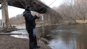 Everything Goes Wrong When You’re Catching! Milwaukee River Brown Trout