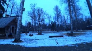 Из бани в прорубь на Крещение. Таежные дачи