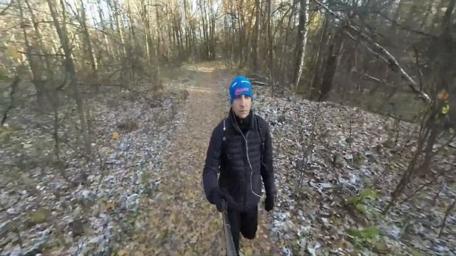 Осеннний лес Лыткарино МО смотреть онлайн