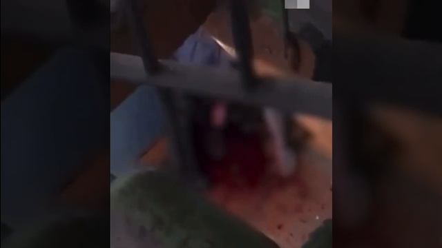 Тюмени женщина как консервную банку вскрыла горло своему соседу, потому что он слишком громко шумел смотреть онлайн