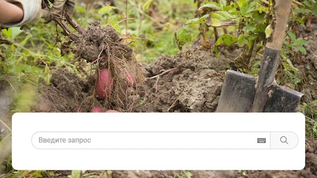 Это знают единицы! Как правильно копать картошку: изумительный секрет. Вы будете в шоке –знать всем смотреть онлайн