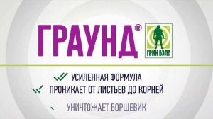 Граунд — средство от сорняков и борщевика