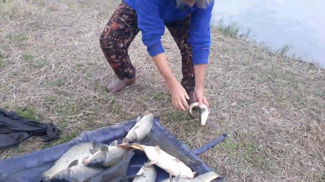 пруд Черноморец 06.08.19г. Улов рыбака смотреть онлайн