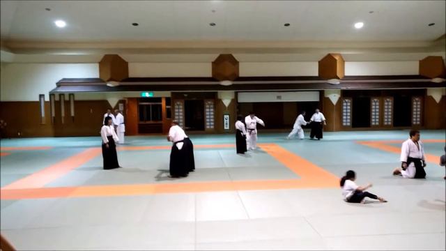 JAPAN - Okinawa III Ryukyu Japanese martial arts II  日本