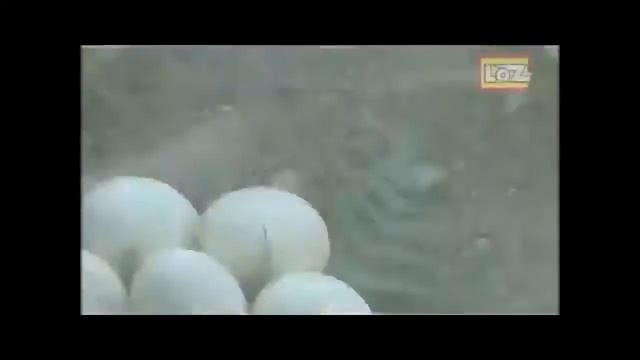 Конструкторы LOZ серия IRobot