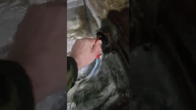 Купание в купели. Крещение Господне. 19 января 2022 г.