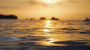 "Пиано в изысканной гармонии: Видео релаксации с нежными звуками пианино"