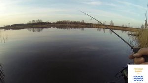 Первая рыбка на мормоспиннинг. Первая рыбалка на спиннинг Fario NT MORM.S-XUL602. 0.5-2.0 гр.