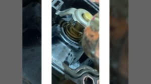 Термостаты проверяем рабочий или нет