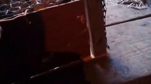 Ловушка для синиц