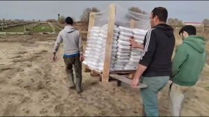 Выпуск малька в поле