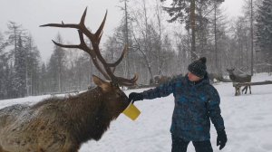 Национальный парк Зюраткуль