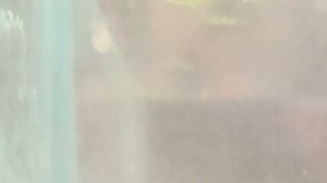 Астракоды и дафния