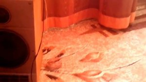 Китайский усилитель и советские колонки Электроника 25АС 128