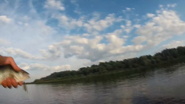 Джиг с лодки ! Да Это Же Эльдорадо (хорошие кабаны тут ) ! Дикий Днепр смотреть онлайн