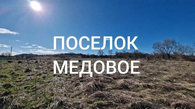 участок 100 соток в поселке Медовое Калининград