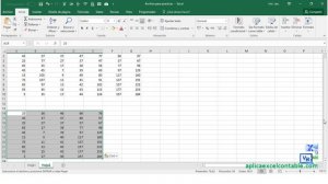 Copiar y Pegar Celdas Visibles en Excel