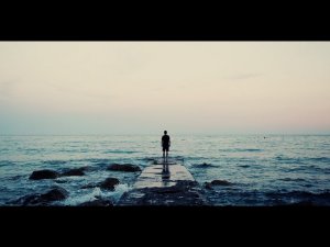 Веcтник Хаоса - #51 Эмоции и чувства, как контролировать? Чем намерение отличается от силы воли