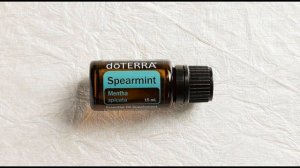 Садовая Мята