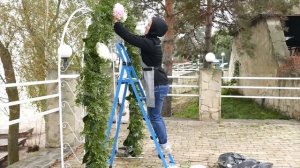 Как красиво украсить дом, забор, участок #ВертикальноеОзеленение