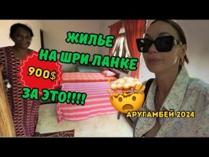 Цены НА АРЕНДУ В ШРИ-ЛАНКЕ! Я В ШОКЕ! Аругамбей 2024