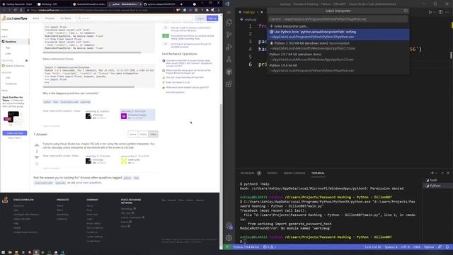 Hashing Passwords Python • Beginner Python Learning Replit Tutorial • Study Session #1 (LoFi Chill)