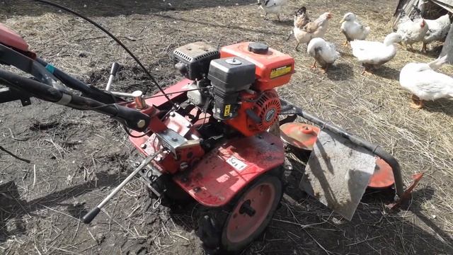 какой мотоблок купить смотреть онлайн